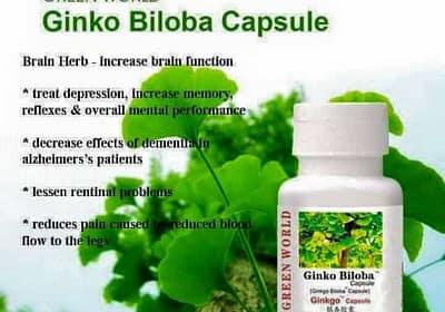 Ginko Biloba