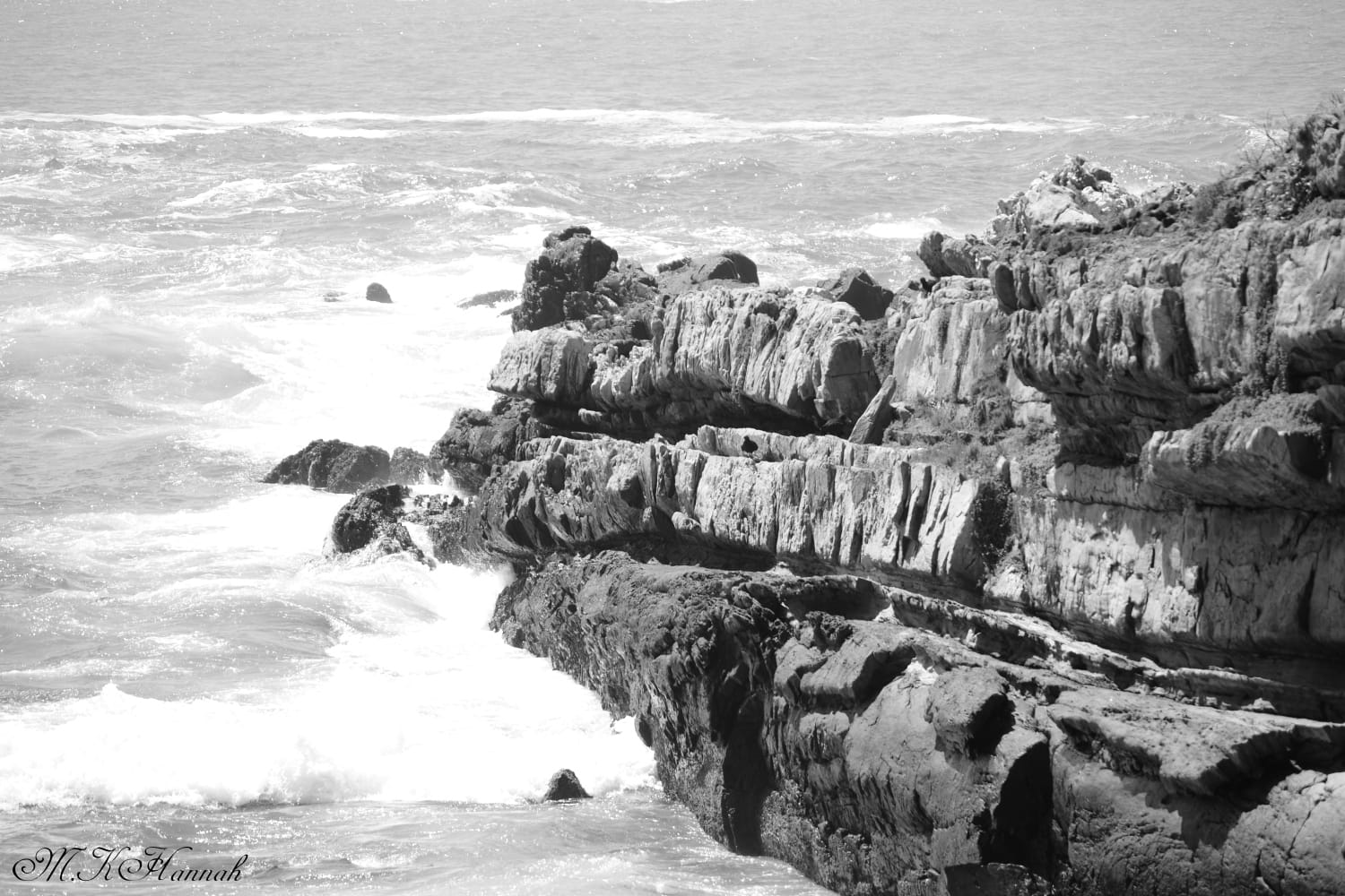 Photography Servies for Hire