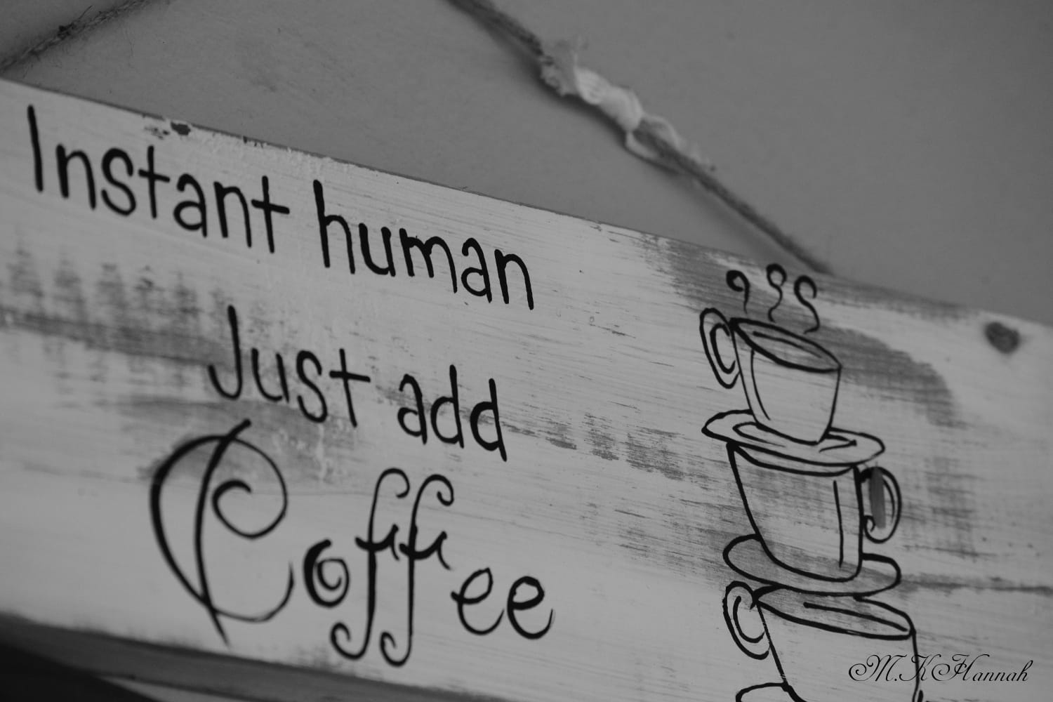 Photography Servies for Hire