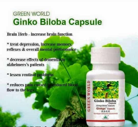 Ginko Biloba