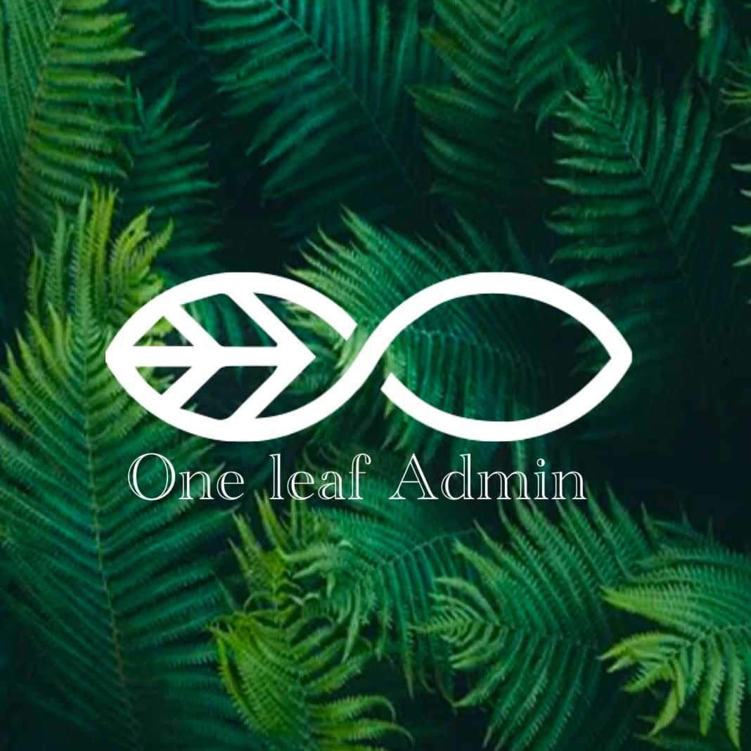 Virtual administrative services for companies across South Africa